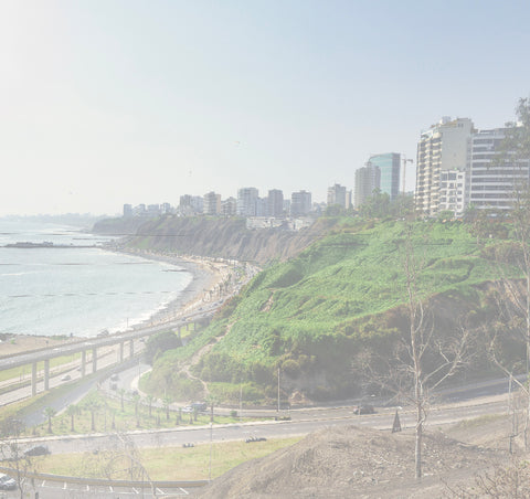 Nutriendo vidas, cada día.